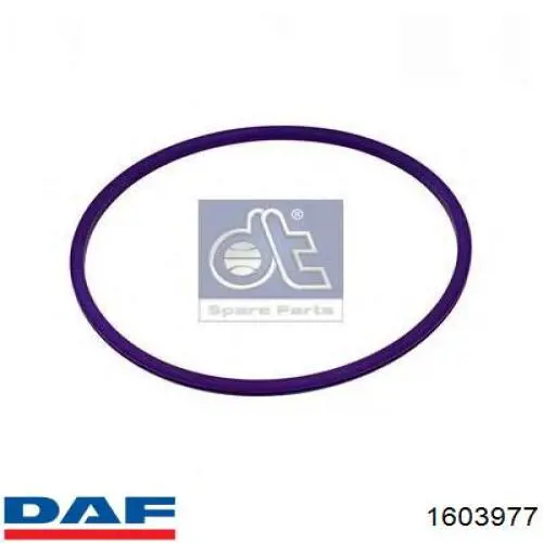 1603977 DAF