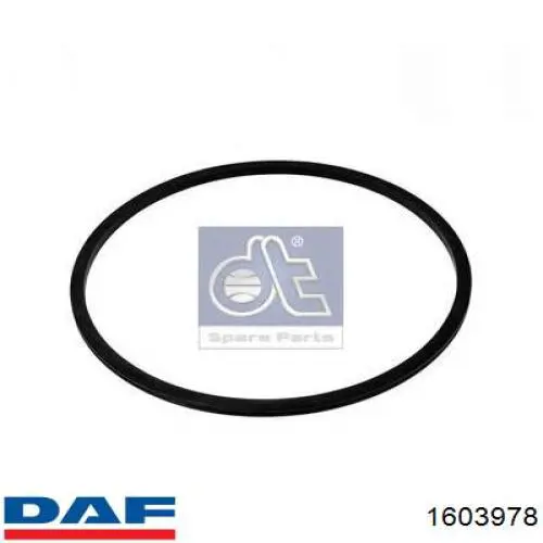 Camisa del cilindro DAF 1603978 precio, desde 16,20 EUR