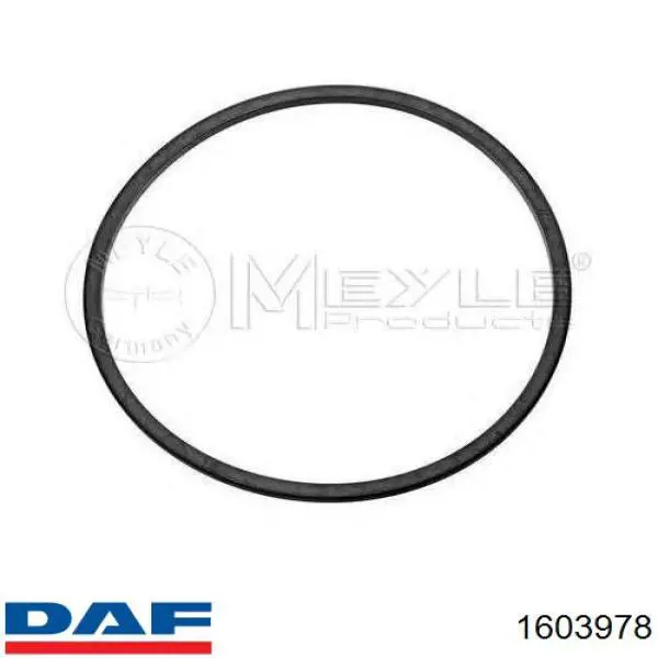 Camisa del cilindro 1603978 DAF