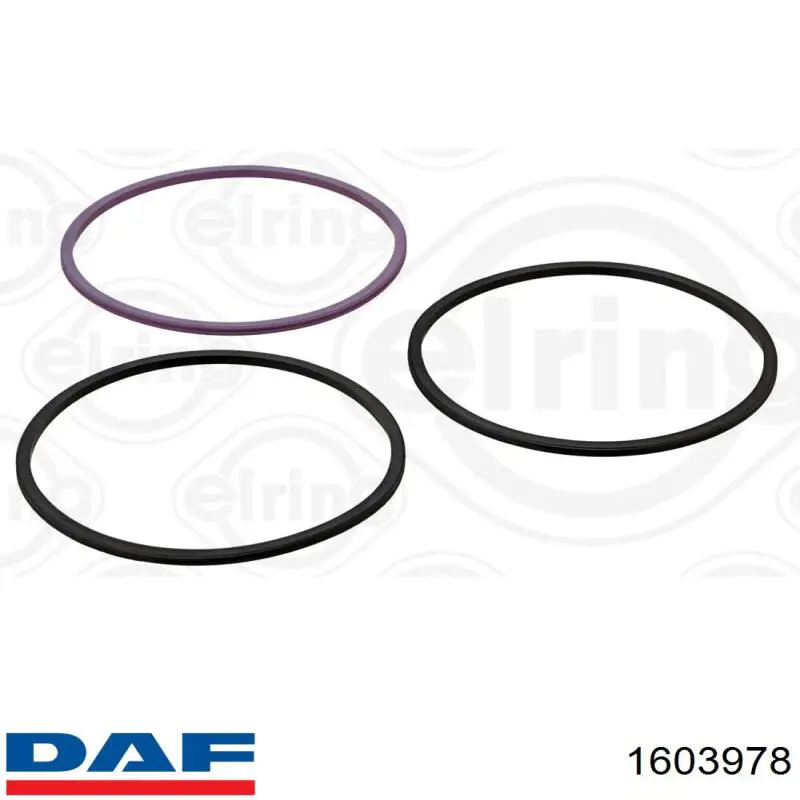 1603978 DAF