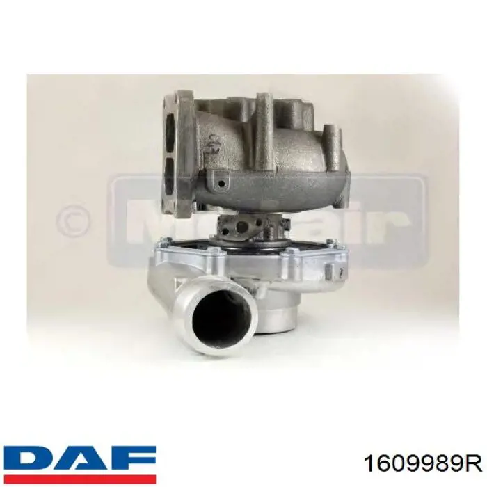 1609989 DAF