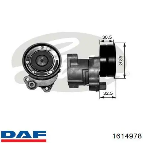 1614978 DAF tensor de correa, correa poli v