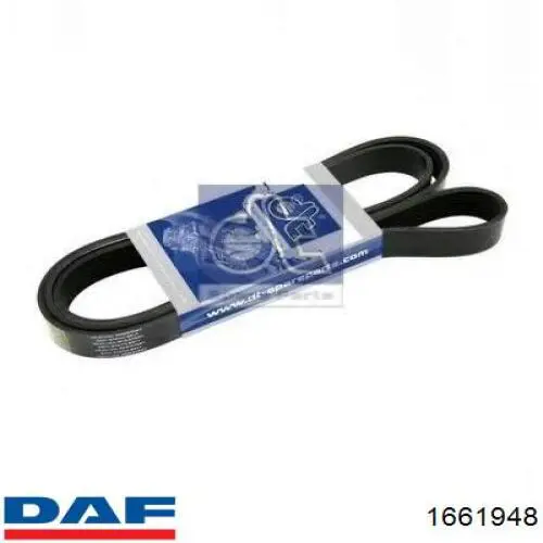 Comprar 1661948 DAF Correa trapezoidal