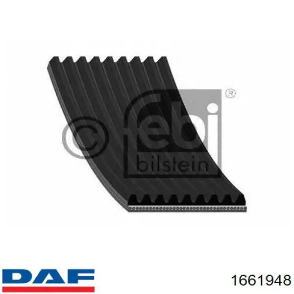 Correa de alternador 1661948 DAF