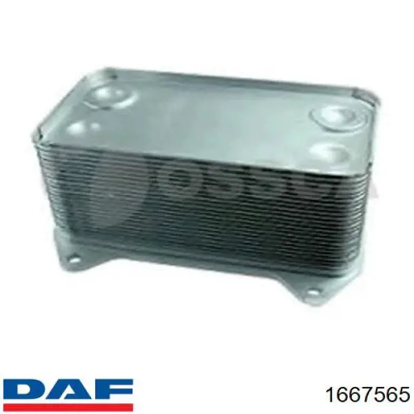 Comprar 1667565 DAF Radiador de aceite