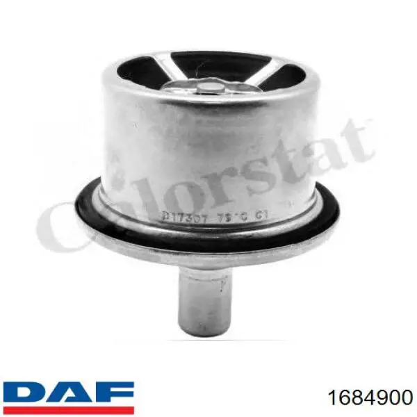 1684900 DAF termostato, refrigerante