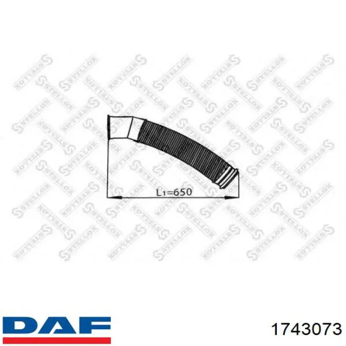 1743073 DAF chapa ondulada del silenciador