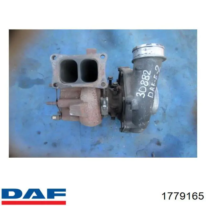 1779165 DAF