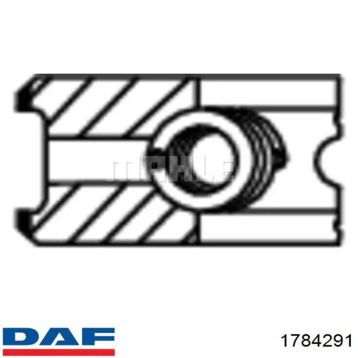 Comprar 1784291 DAF Aros de pistón para 1 cilindro, STD