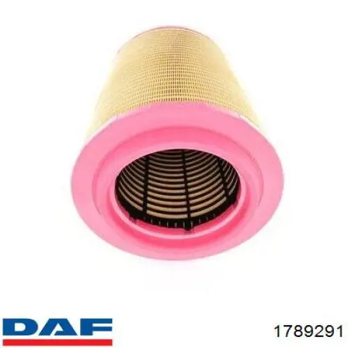 1789291 DAF filtro de aire