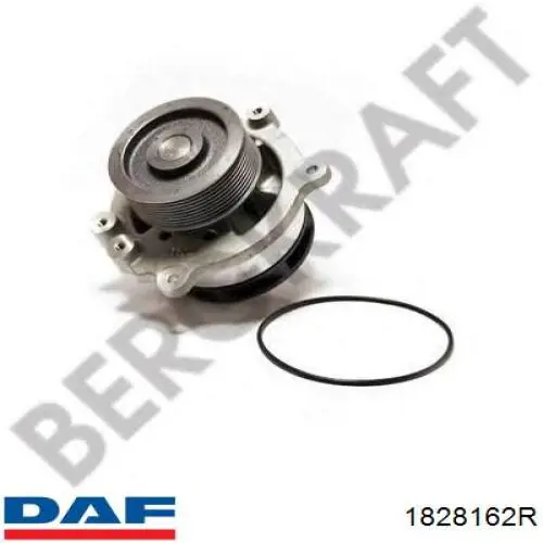 1828162R DAF bomba de agua