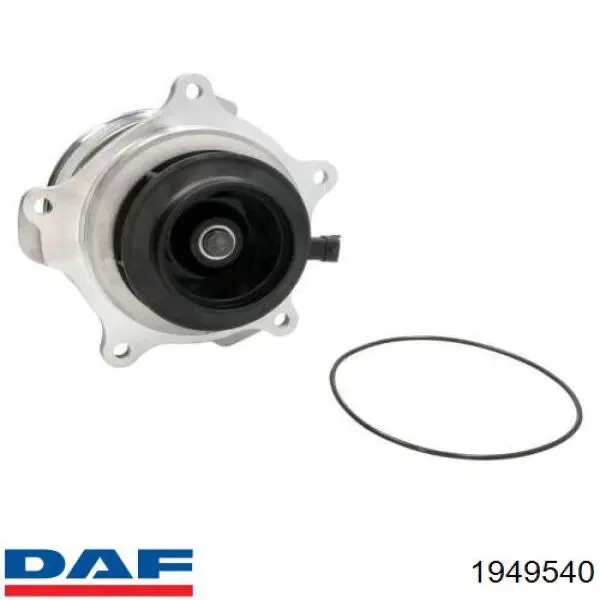 Bombeadora de agua Dolz D329 precio, desde 421,91 EUR