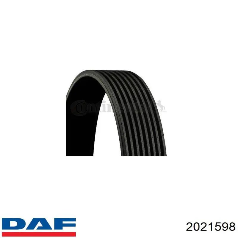 2021598 DAF correa trapezoidal