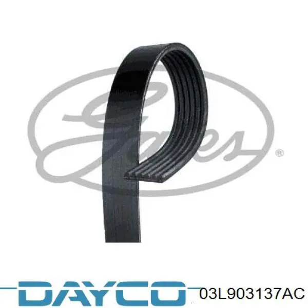 03L903137AC Dayco correa trapezoidal