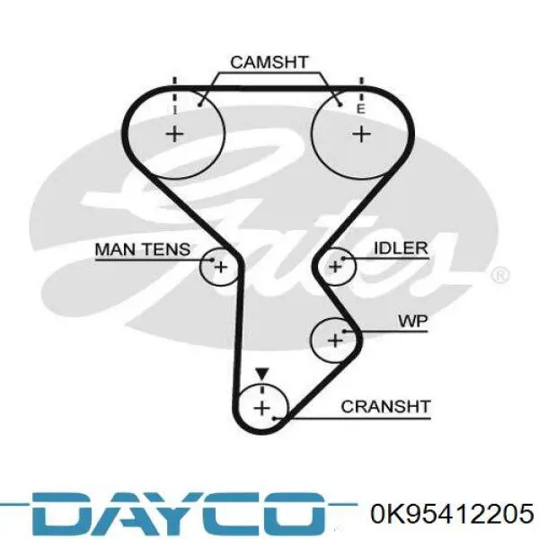 0K95412205 Dayco correa distribucion