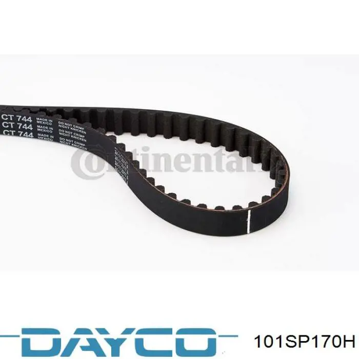 101SP170H Dayco correa distribucion