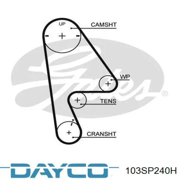 103SP240H Dayco correa distribucion