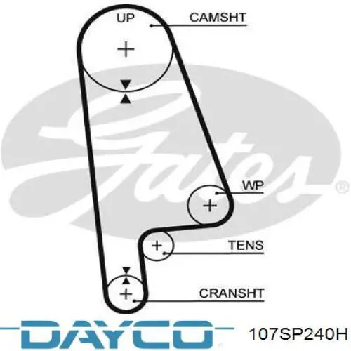 107sp240h Dayco correa distribucion