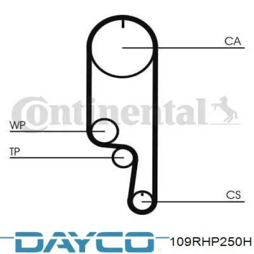 Correa distribucion DAYCO 109RHP250H