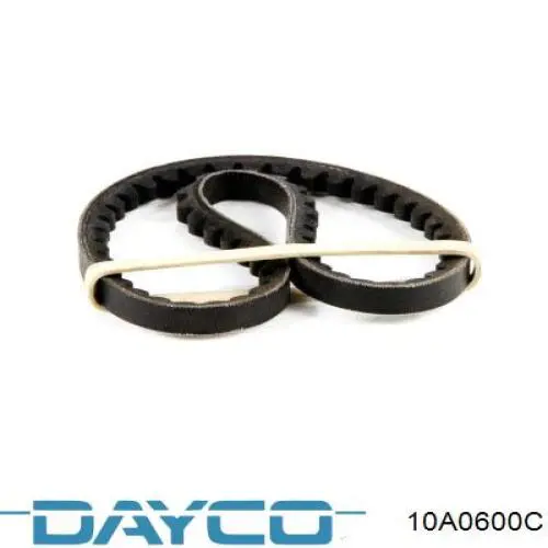 Correa de alternador 10A0600 Dayco