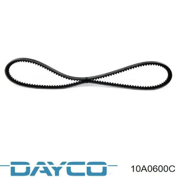 Correa de alternador 10A0600C Dayco