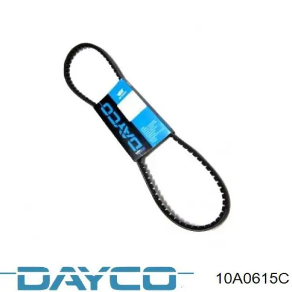 Correa de alternador 10A0615C Dayco