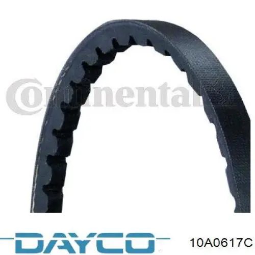 10A0617C Dayco Correa poly v