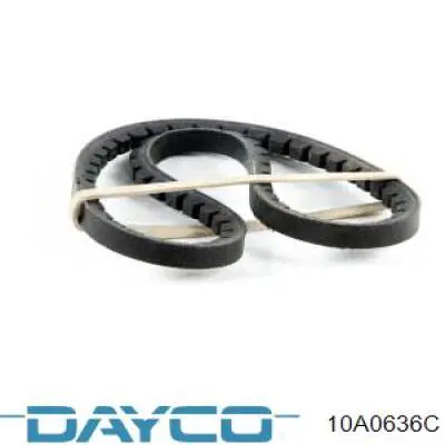 10A0636C Dayco Correa poly v