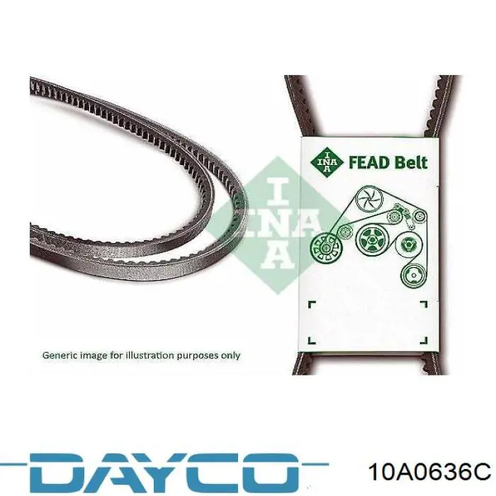 Comprar 10A0636C Dayco Correa trapezoidal