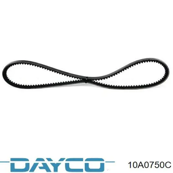 10A0750C Dayco Correa poly v