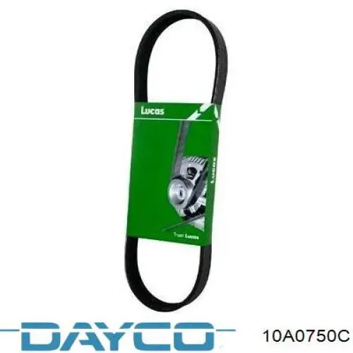 Correa de transmisión trapezoidal Dayco 10A0750C precio, desde 6,68 EUR
