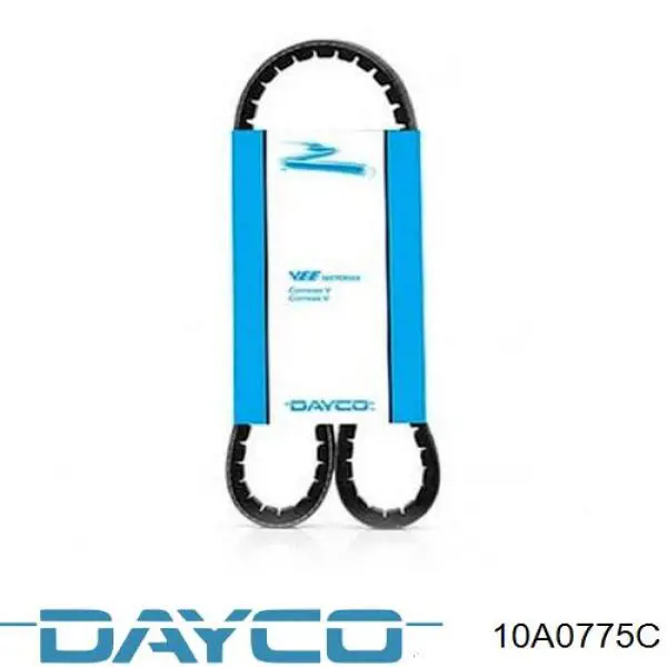 Correa de alternador 10A0778C Dayco