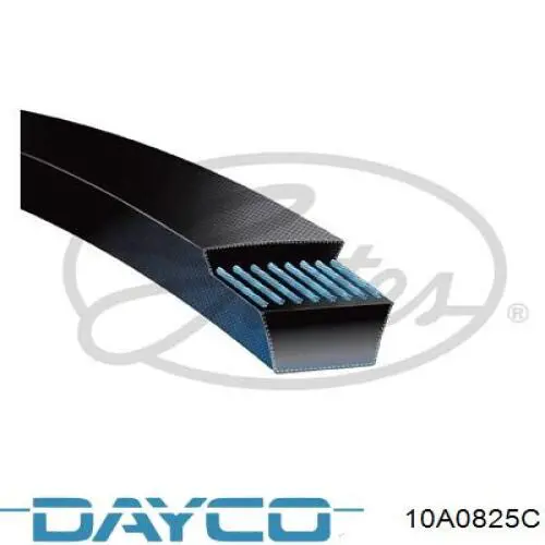 Comprar 10A0825C Dayco Correa trapezoidal