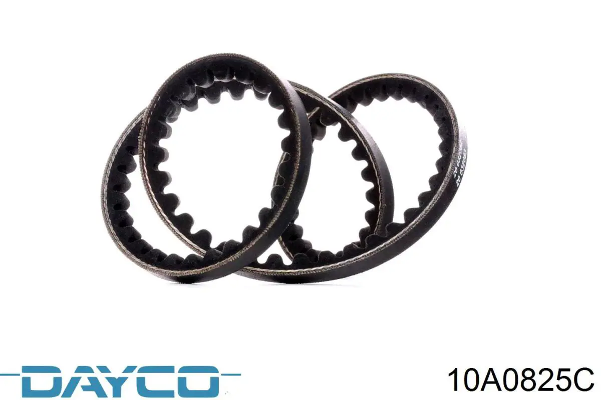 Correa de alternador 10A0825C Dayco