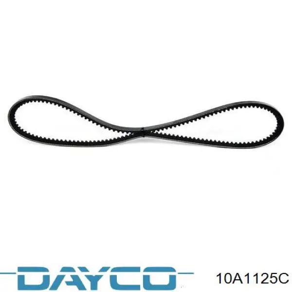 Correa de alternador 10A1125C Dayco