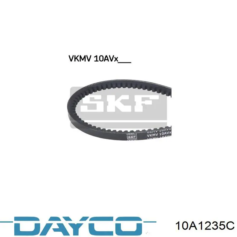 10A1235C Dayco Correa poly v