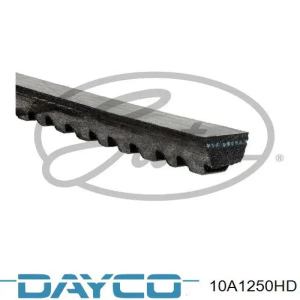 10A1250HD Dayco correa trapezoidal