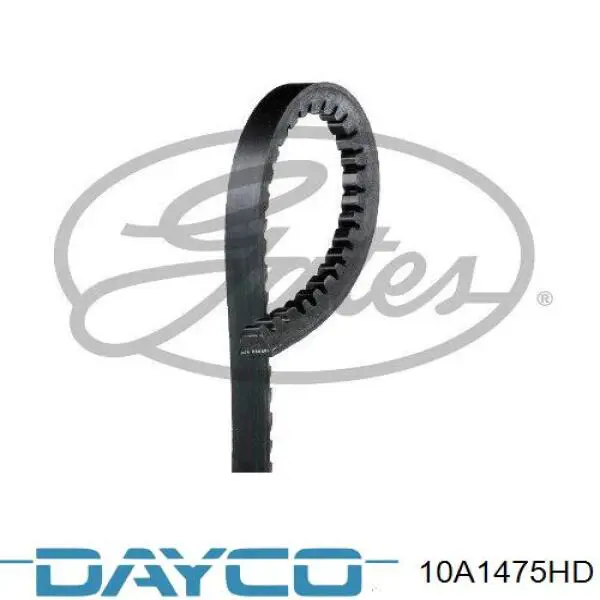 Correa de alternador 10A1475HD Dayco