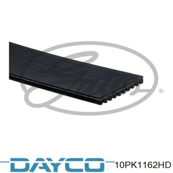 46013 Febi Correa poly v