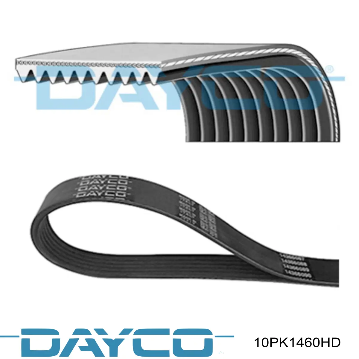 Correa de transmisión trapezoidal Dayco 10PK1460HD precio, desde 25,20 EUR
