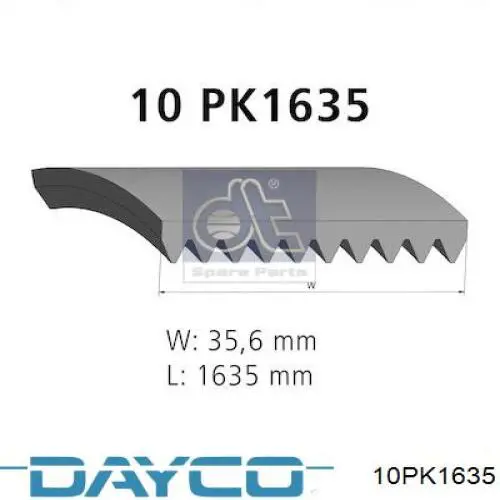 10PK1635 Continental/Siemens Correa poly v