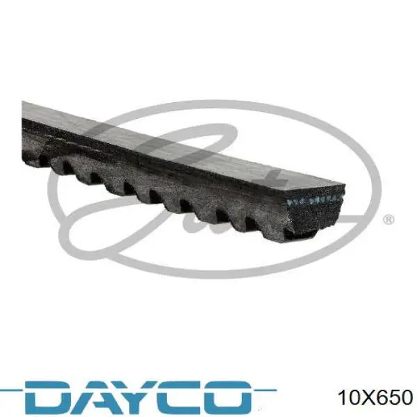 10X650 Dayco correa trapezoidal