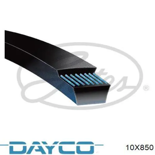 10X850 Dayco correa trapezoidal