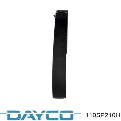 110SP210H Dayco correa distribucion