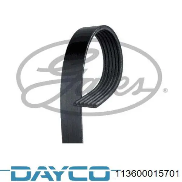 113600015701 Dayco correa trapezoidal