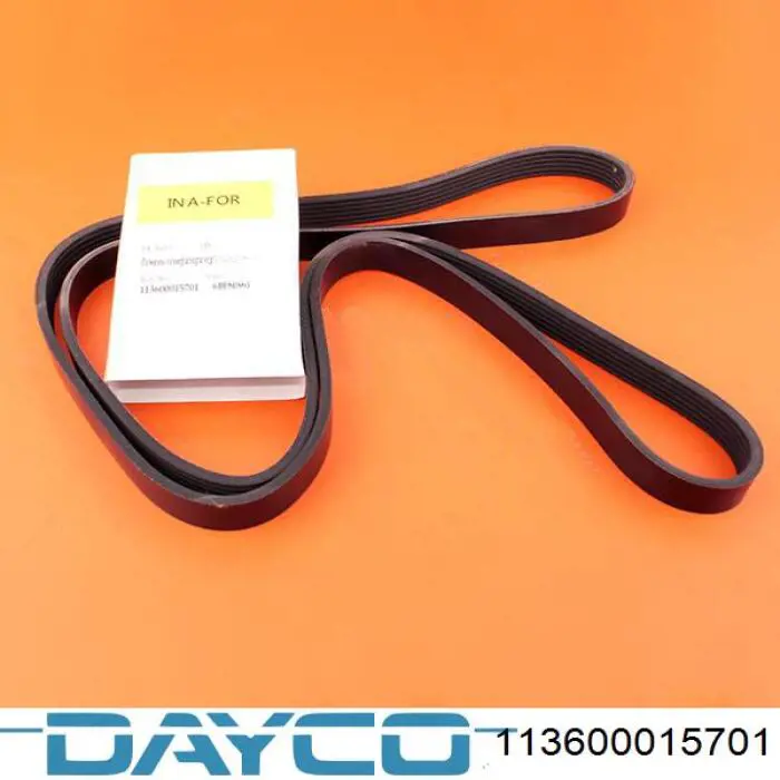 113600015701 Dayco Correa poly v