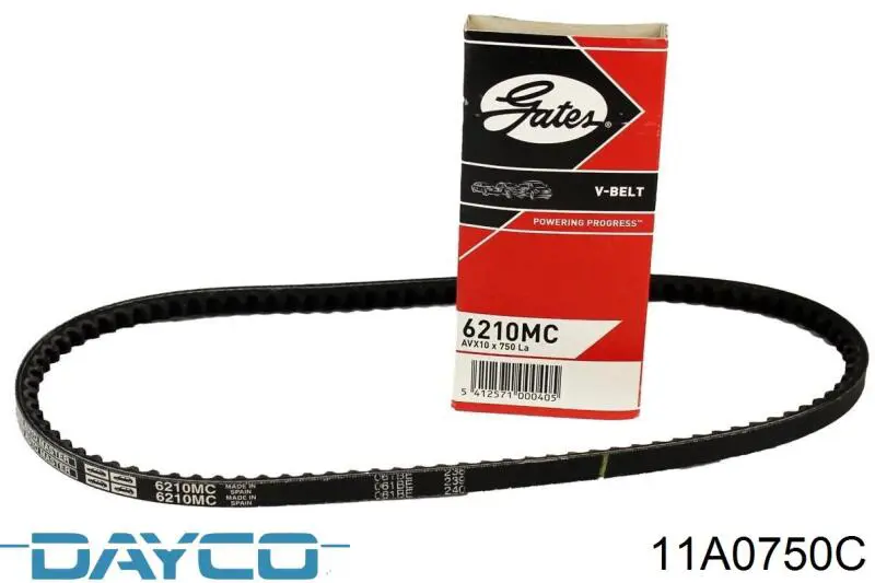11A0750C Dayco Correa poly v