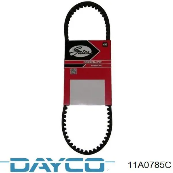 Correa de alternador 11A0785C Dayco