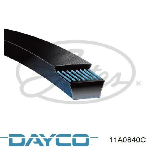 11A0840C Dayco Correa poly v