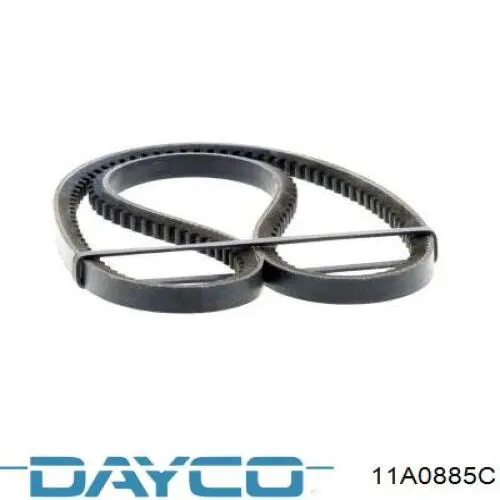 Correa de alternador 11A0885C Dayco